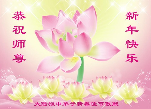 Image for article 2020 Tebrik Kartı Koleksiyonu (II): Saygıdeğer Shifu'ya Mutlu Çin Yeni Yılı Dilekleri