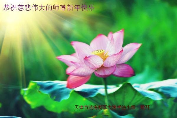 Image for article Çin'in 30 Eyaletinden Uygulayıcılar Shifu Li'ye Mutlu Yıllar Diliyor!