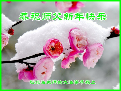 Image for article Zulüm İnançlarını Sarsamaz —Hapsedilen Falun Dafa Uygulayıcıları Saygıyla Shifu Li Hongzhi'ye Mutlu Bir Yeni Yıl Diledi