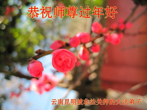 Image for article İnançları İçin Hapsedilen Falun Dafa Uygulayıcıları Shifu Li'ye Çin Yeni Yılı Dileklerini Gönderdiler (21 Tebrik)
