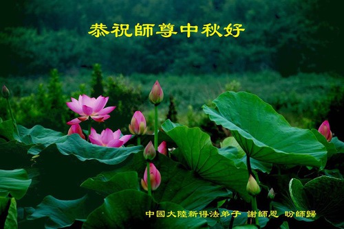 Image for article Çin'in Her Yerinden Yeni Uygulayıcılar Shifu Li'ye Mutlu Ay Festivali Diliyorlar