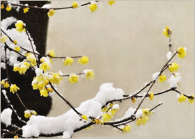 Image for article Doktor: Lütfen Herkese Falun Dafa'yı Anlatın!