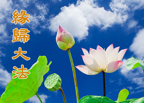 Image for article [Dünya Falun Dafa Günü Kutlaması] Falun Dafa'nın Öğretilerini Takip Etmek Ailemi Nasıl Bir Arada Tuttu