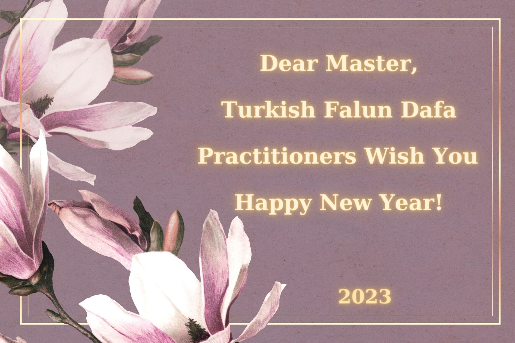 Image for article Türkiye'deki Uygulayıcılar Saygıdeğer Shifu Li'nin 2023 Yeni Yılını Kutluyorlar!