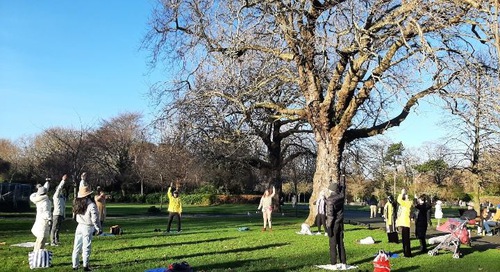 Image for article İrlanda: İnsanlar Dublin Parkında Falun Dafa'yı Öğrendi