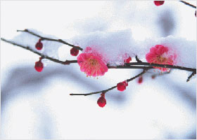 Image for article [Dünya Falun Dafa Günü Kutlaması] Merhamet Gözaltı Merkezini Aydınlatıyor