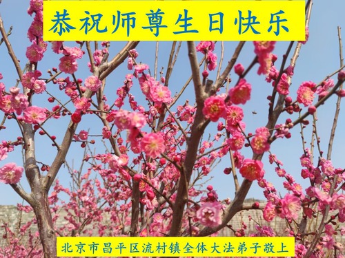Image for article Pekin'den Falun Dafa Uygulayıcıları Dünya Falun Dafa Günü'nü Kutluyor ve Shifu Li Hongzhi'ye Saygıyla Mutlu Yıllar Diliyor (19 Tebrik)