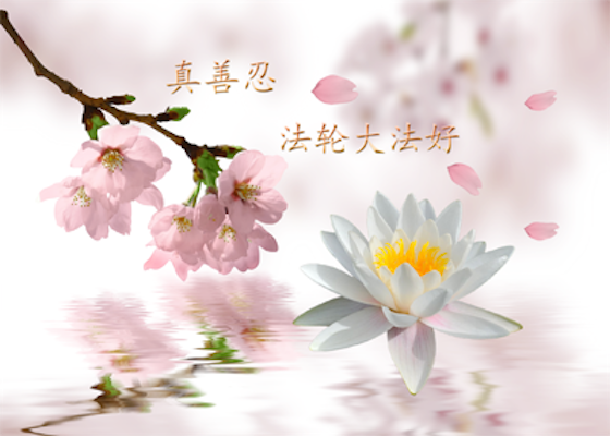 Image for article [Dünya Falun Dafa Günü Kutlaması] Sarsılmaz Doğru İnanç