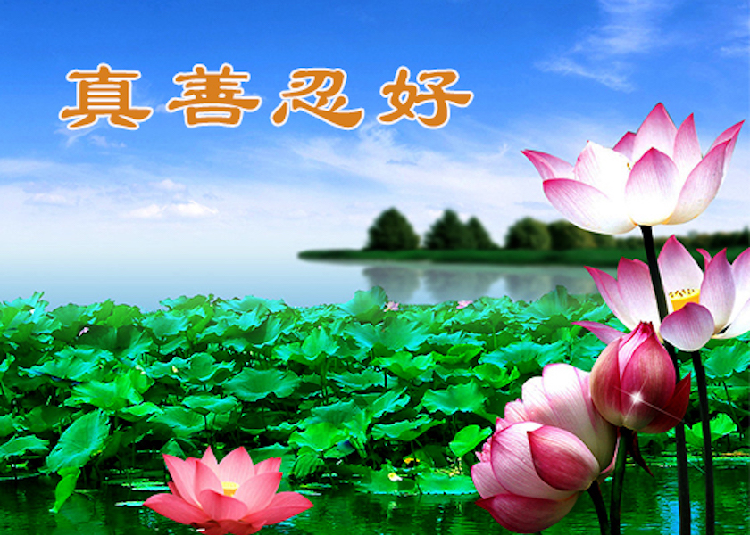Image for article ​Tayvan: Web Sitesi Okuyucuları, Dünya Falun Dafa Günü'nü Kutlayan Makaleler İçin Minnettarlıklarını İfade Ediyor