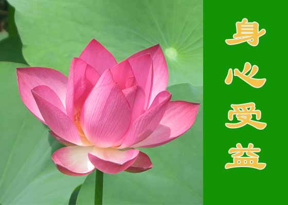 Image for article ​Lupusu Olan İnsanlar Falun Dafa’yı Uyguladıktan Sonra İyileşti (Bölüm 2)