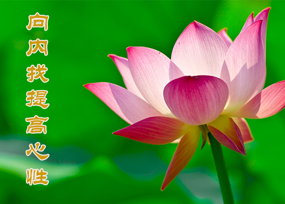 Image for article Gerçekleri Öğrenen ​İnsanlar Falun Dafa'ya ve Shifu Li'ye Teşekkür Etti