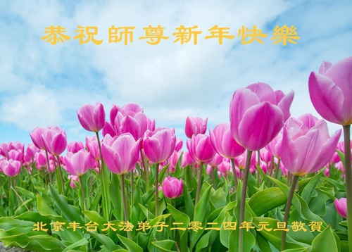Image for article ​Pekin'den Falun Dafa Uygulayıcıları Saygıyla Shifu Li Hongzhi'ye Mutlu Bir Yeni Yıl Diliyor (22 Tebrik)