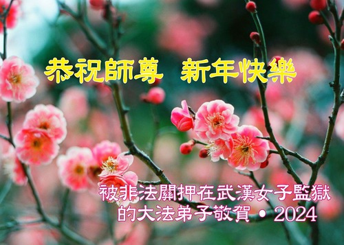 Image for article ​Erik Çiçekleri, Hapsedilen Falun Dafa Uygulayıcılarının Sarsılmaz İnancı Gibi Kışın Daha Güzel Çiçek Açar