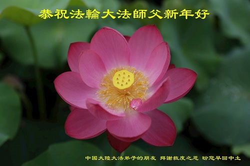 Image for article ​Çin'deki Gerçeği Anlayan İnsanlardan Shifu Li Hongzhi'ye Yeni Yıl Tebrikleri