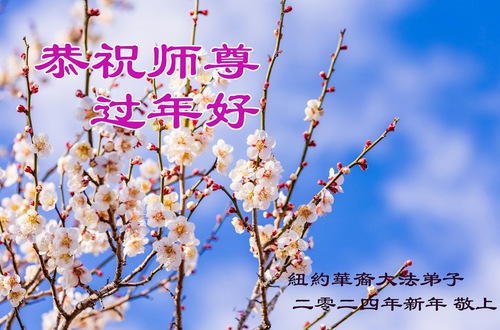 Image for article ​New York Bölgesinden Falun Dafa Uygulayıcıları Saygıyla Shifu Li Hongzhi'ye Mutlu Bir Çin Yeni Yılı Diliyor