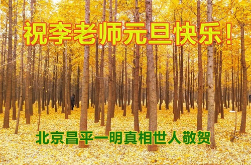 Image for article ​Çin'deki Falun Dafa Uygulayıcıları ve Destekçileri Shifu Li Hongzhi'ye Mutlu Yıllar Diliyor (20 Tebrik)