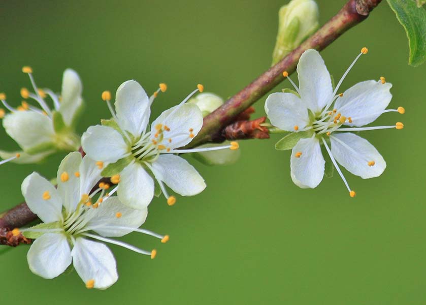 Image for article Falun Dafa'yı Uygulayarak Mucizevi Deneyimler Yaşadım