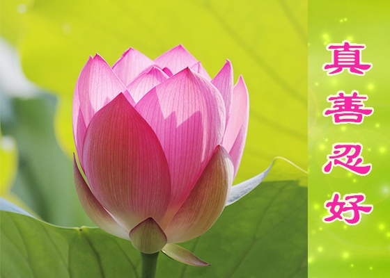 Image for article Falun Dafa Hayatımı Dönüştürdü