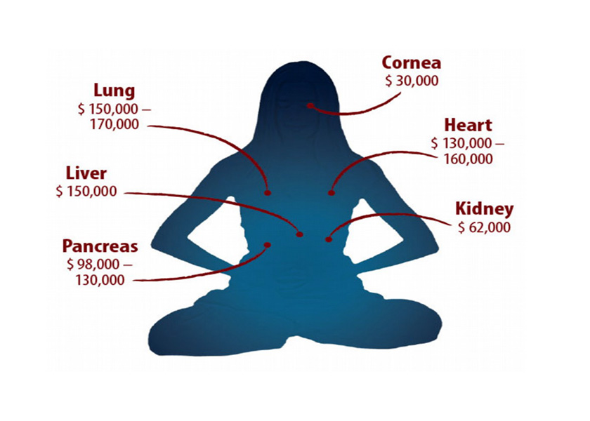 Image for article Minghui Raporu: Falun Gong Uygulayıcıları Çin’de Sistematik Şekilde Organları İçin Katlediliyor