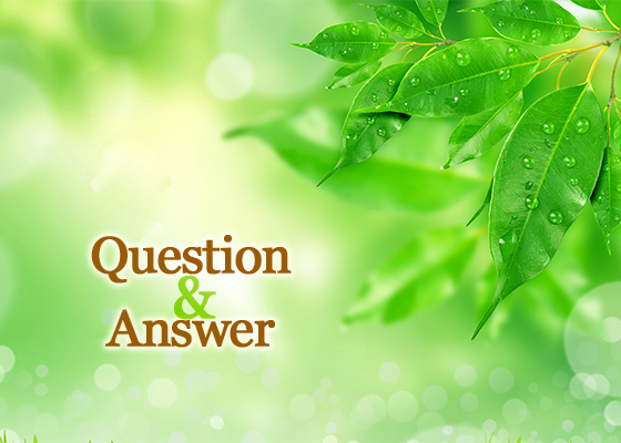 Image for article ​Falun Gong Hakkında Sıkça Sorulan 101 Soru