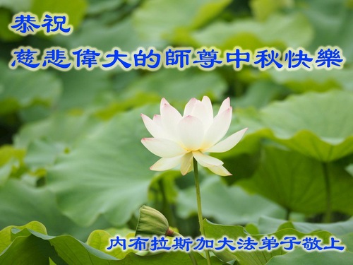 Image for article ABD'nin Ortabatı Bölgesindeki On Eyaletten Falun Dafa Uygulayıcıları, Shifu Li Hongzhi'nin Sonbahar Ortası Festivalini Kutluyor