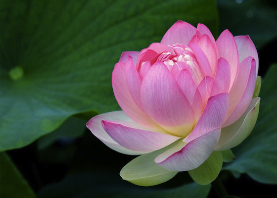 Image for article Lise Öğrencisi: Gerçek Bir Uygulayıcı Olmak!