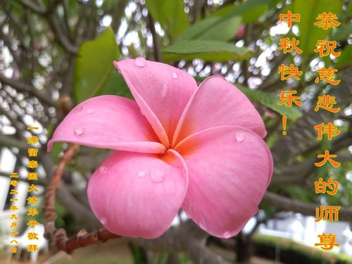 Image for article ​Şöhret, Kazanç ve Duygusallık Takıntılarını Bırakarak Sıradan İş İçinde Uygulama Yapmak