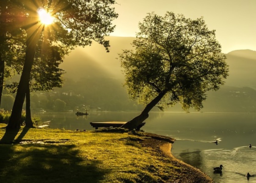 Image for article ​İnatçı Kayınpederim Sonunda ÇKP'den Nasıl Ayrıldı