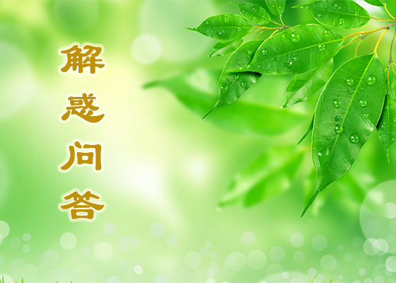 Image for article ​Polonyalı Uygulayıcılar, 22. Çin Fa Hui Konferansı Makalelerini Okuduktan Sonra Sorunlarına Çözümler Buldu ve İnançlarını Yeniledi