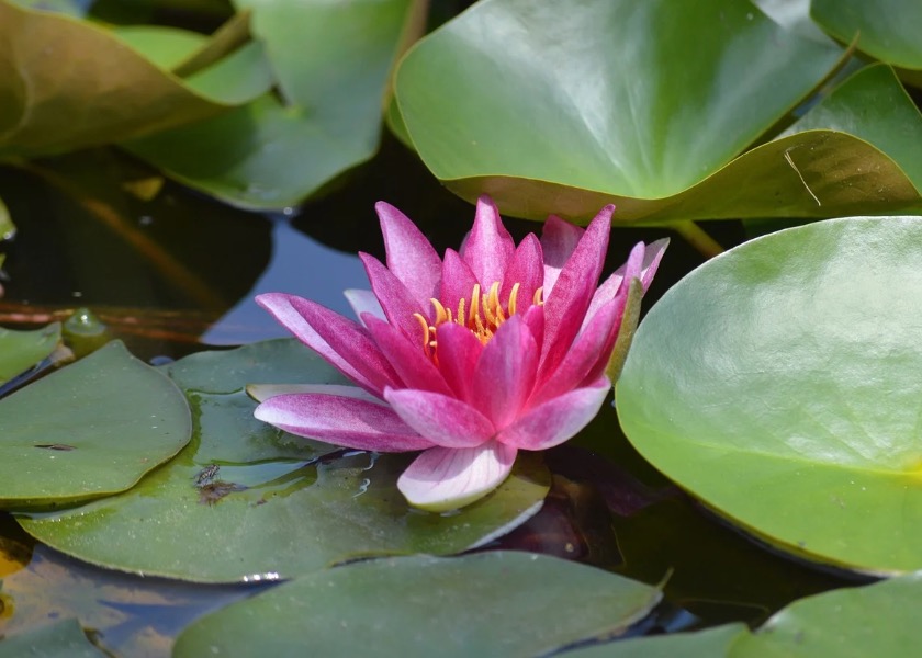 Image for article ​Tanrısal Bir Kutsama