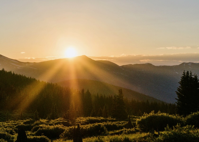 Image for article Hiçbir Şey İşe Yaramadığında Vicdanımıza Güvenmeliyiz