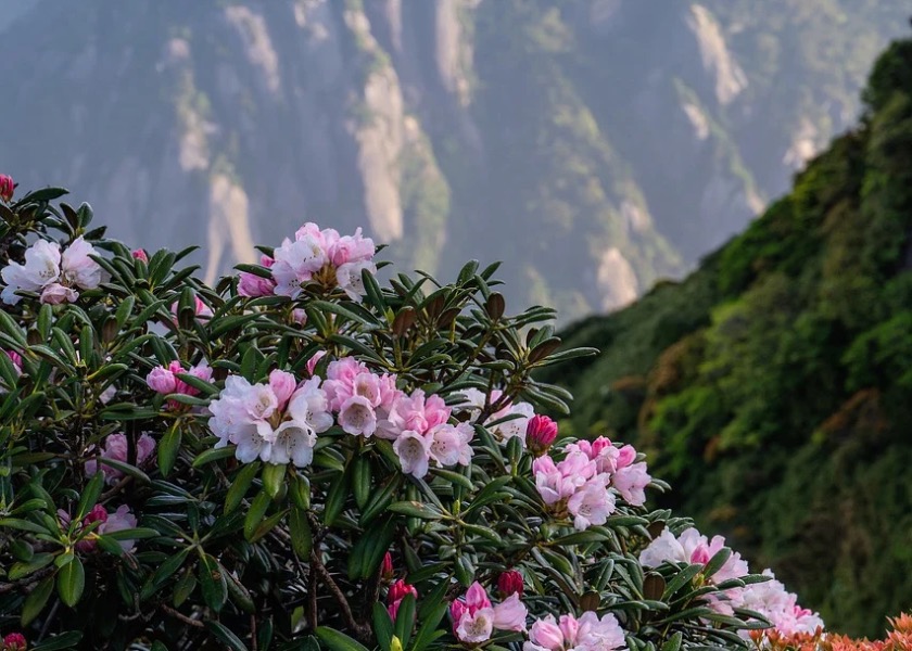 Image for article Kayınvalidemle Aramdaki Yıllanmış Kırgınlıklar Nihayet Çözüme Kavuştu