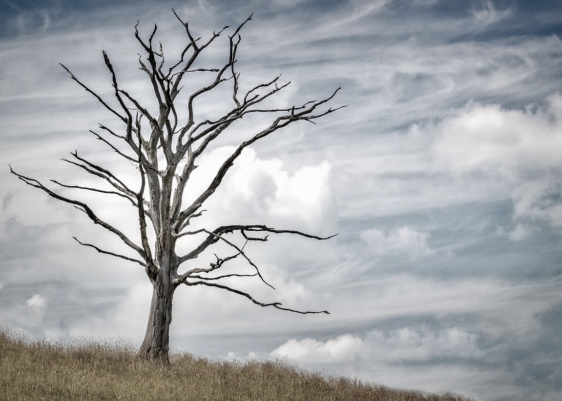 Image for article ​Gecikmiş Haber: Liaoning Eyaletinden Bir Kadın Falun Gong’a Yapılan Zulümde Öldü