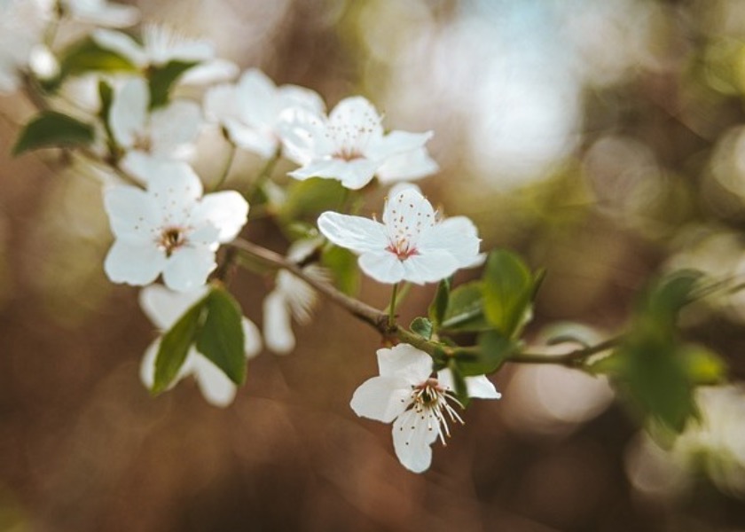 Image for article Neye Odaklandığına Dikkat Et