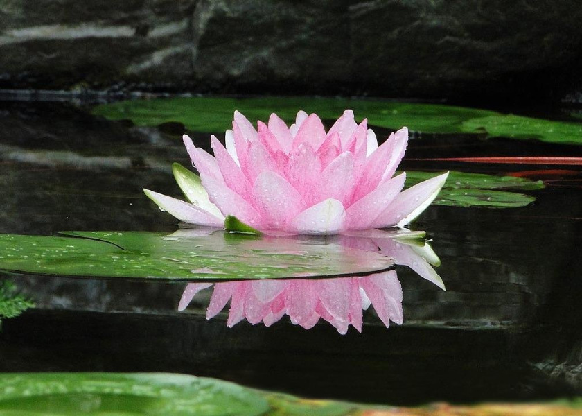 Image for article Zorluklar Karşısında İyiliği Korumak