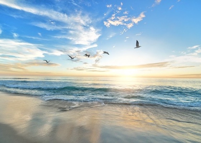 Image for article ​Üç İşi İyi Bir Şekilde Yapmak ve Shifu’ya Tatmin Edici Bir Sonuç Bildirmek