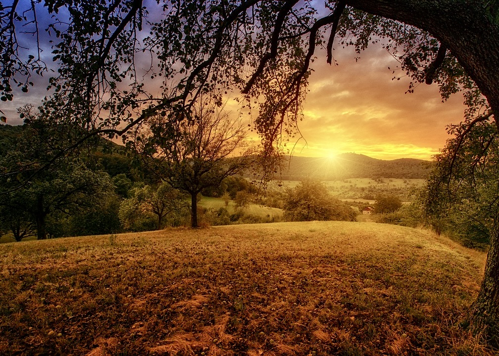 Image for article Bir Lise Öğrencisinin Kendini Geliştirme Yolculuğu