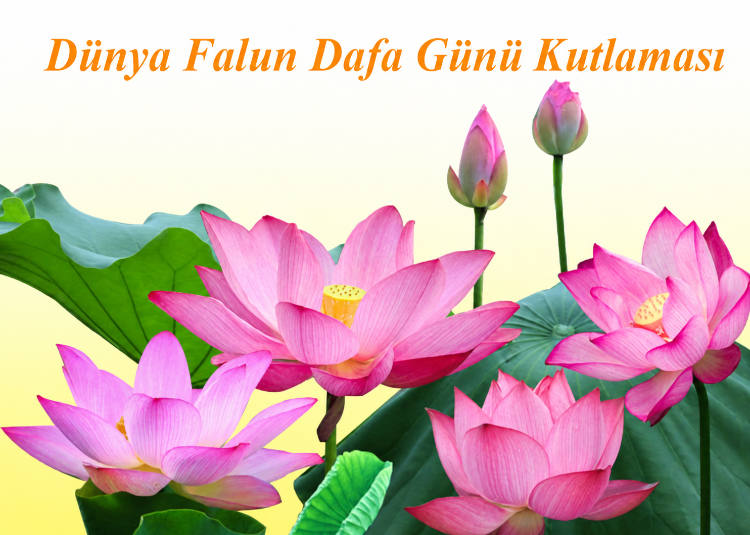 Image for article ​[Dünya Falun Dafa Günü Kutlaması] Bir İşletme Sahibinin Zorluk, Mücadele ve Kutsamalarla Dolu Yolculuğu