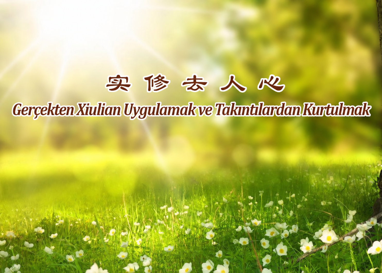 Image for article ​“Benliği” Bırakmaya Dair Anlayışım