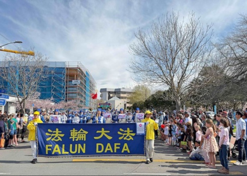 Image for article ​Yeni Zelanda: Uygulayıcılar Blossom Festivali'nde 
